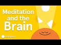 Understanding Meditation and Brain Activity