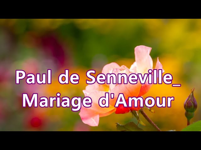Paul de Senneville _  Mariage d'Amour  /  Relaxating 1 hour class=