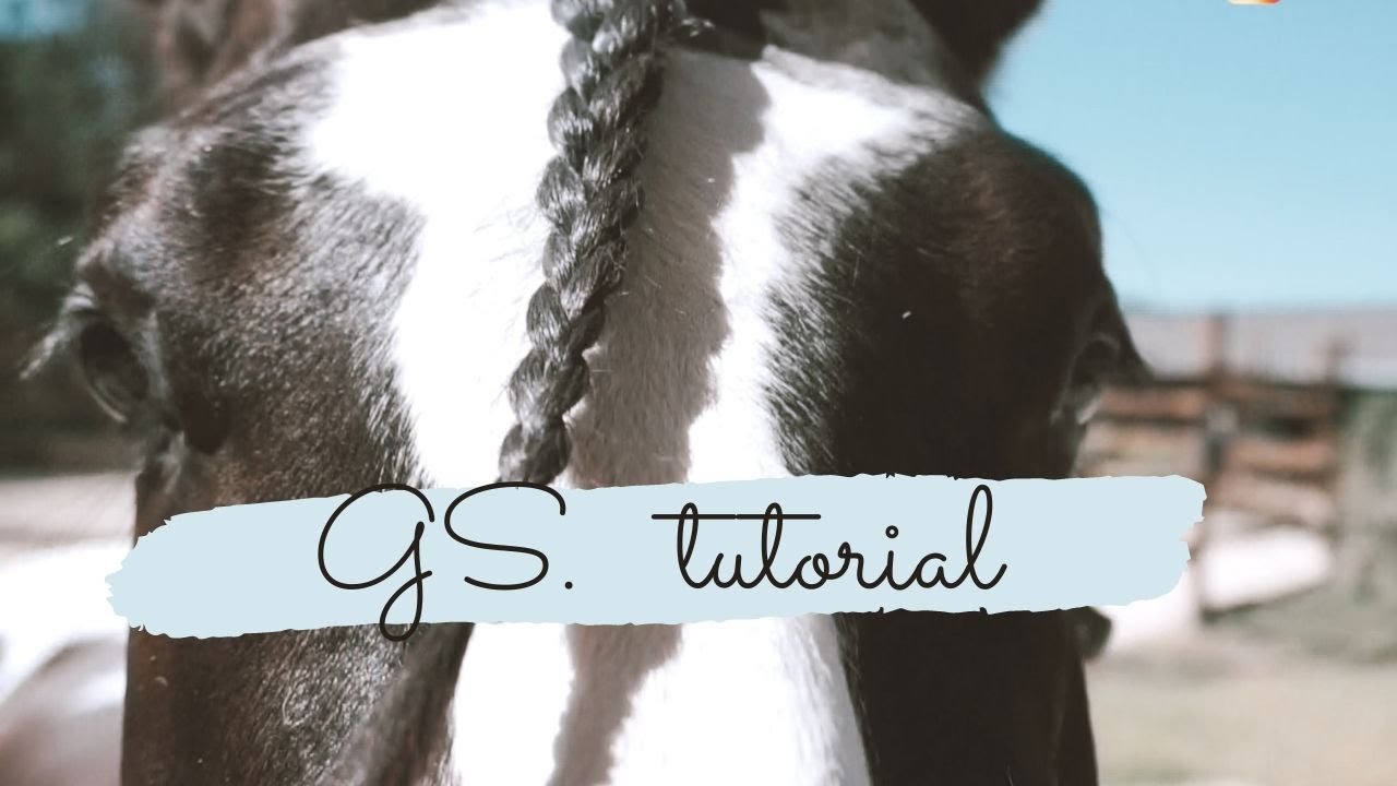 TUTORIAL TRECCIA AL CIUFFO E ALLA CODA ||GS||