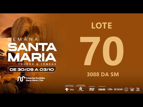 LOTE 70 FSM A3088