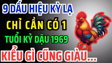 Kỷ Dậu 1969 có Phước Đức, Hậu vận Giàu Sang Tự đến, Chỉ Cần Nhìn Vào 9 Dấu Hiệu Này Là Biết Ngay