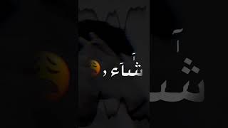 عيناه والروح سواء||حالات واتساب?||تصميمي?||#shorts