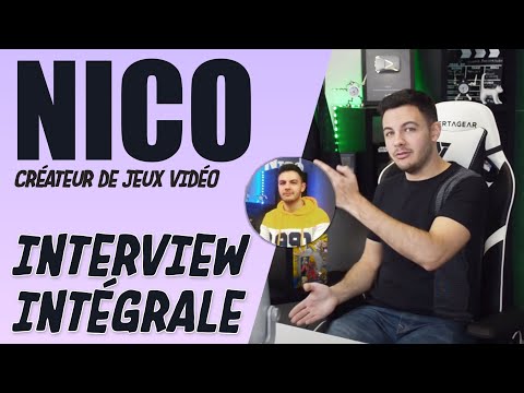 Vidéo: The Critical Path Propose De Nombreuses Mini-interviews Avec Vos Concepteurs De Jeux Préférés