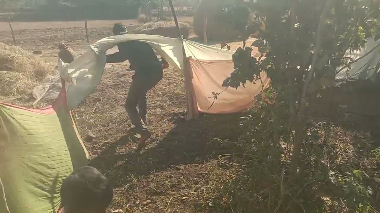 हमारे कोलिया क्या आप जानते हैं कोलियो क्या होता है 