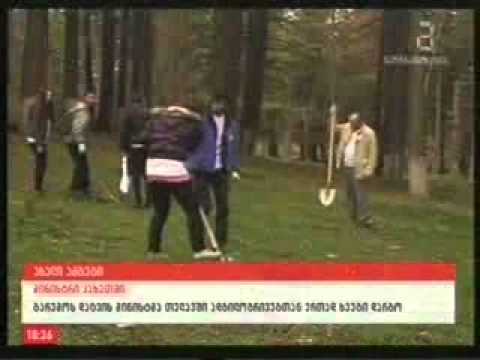 MOE: გარემოსდავითი აქცია თელავში