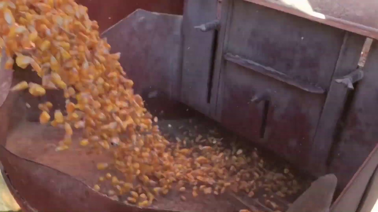 Grinding Corn with International 1250 Grinder - YouTube
