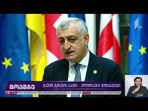 დავით გარეჯის საქმე - პოლიტიკური შეფასებები