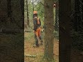 Man's Hilarious Forest Mishap: Plank Spear Fails & Tree Falls! #shorts