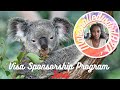 How to apply for australian visa sponsorship jobs with joracom