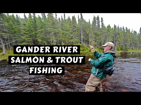 Video: Brann river gjennom Shimano-fabrikken i Japan