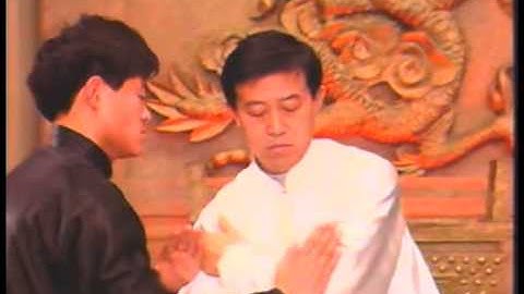 Grandmaster Chen Zheng Lei Push Hands no 3