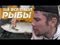 ДИКИЙ КЛЁВ НА КРАСИВОЙ РЕКЕ 🤯 КЛЮЁТ ОДНА ЗА ОДНОЙ НА СПИННИНГ