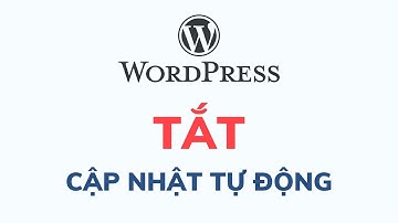 Hướng dẫn cách tắt tự động cập nhật WordPress bằng plugin | Hocban.vn
