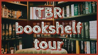 TBR BOOKSHELF TOUR