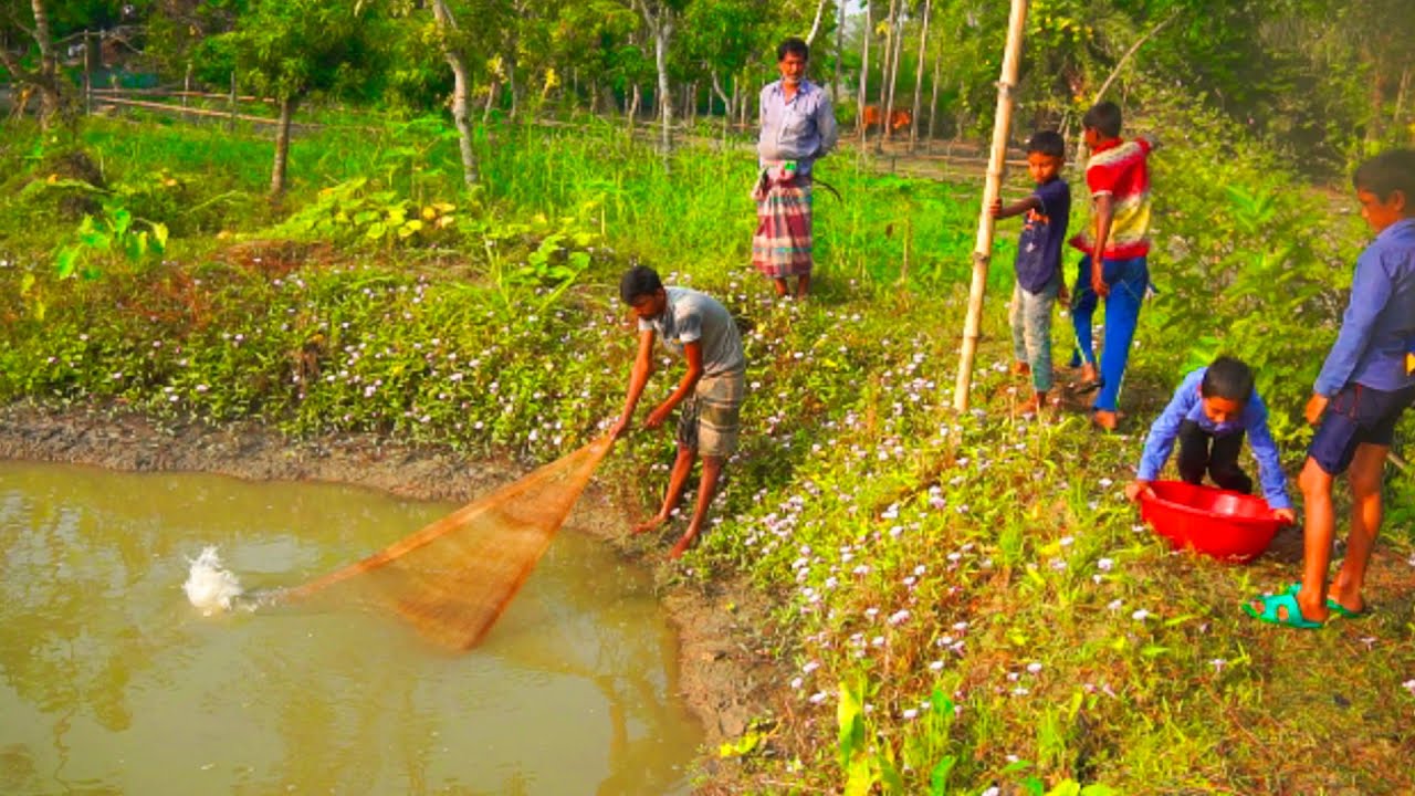 Most Satisfying Cast Net Fishing Video | Traditional Net Catch Fishing | Best Cast Net Fishing Video