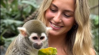🐒 Tour Fenn Bell Pub Zoo & Conservation Project.  ￼Kent . UK