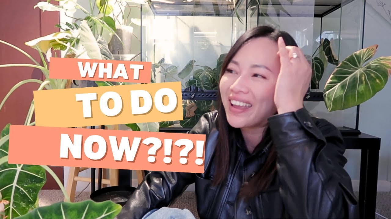 My Alocasia Did WHAT?! 😱