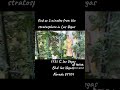 VID 20250919 WA0021