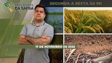 Soja de Goiás e de Diamantino/MT segue sofrendo com falta de chuvas e pode haver perda...