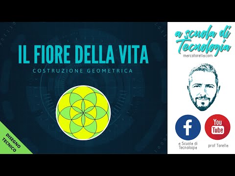 Video: Come Disegnare Dalla Vita