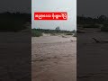 အညာမှာမိုးရွာနေပါပြီ#shorts #အညာမြေ #rain #stream #myanmar