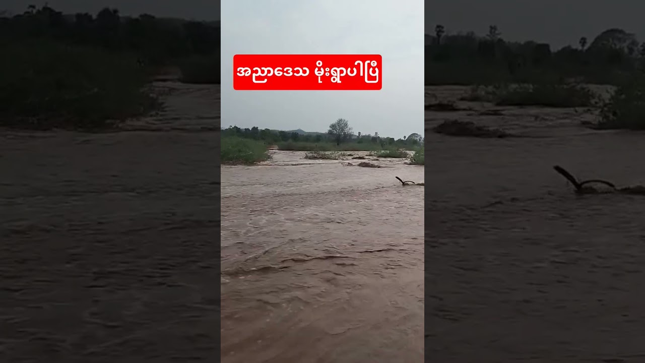 အညာမှာမိုးရွာနေပါပြီ#shorts #အညာမြေ #rain #stream #myanmar