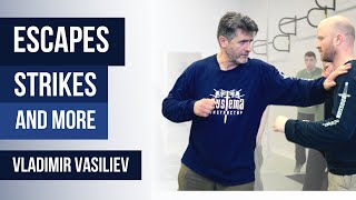 Escapes, Strikes and more  by Vladimir Vasiliev 2006