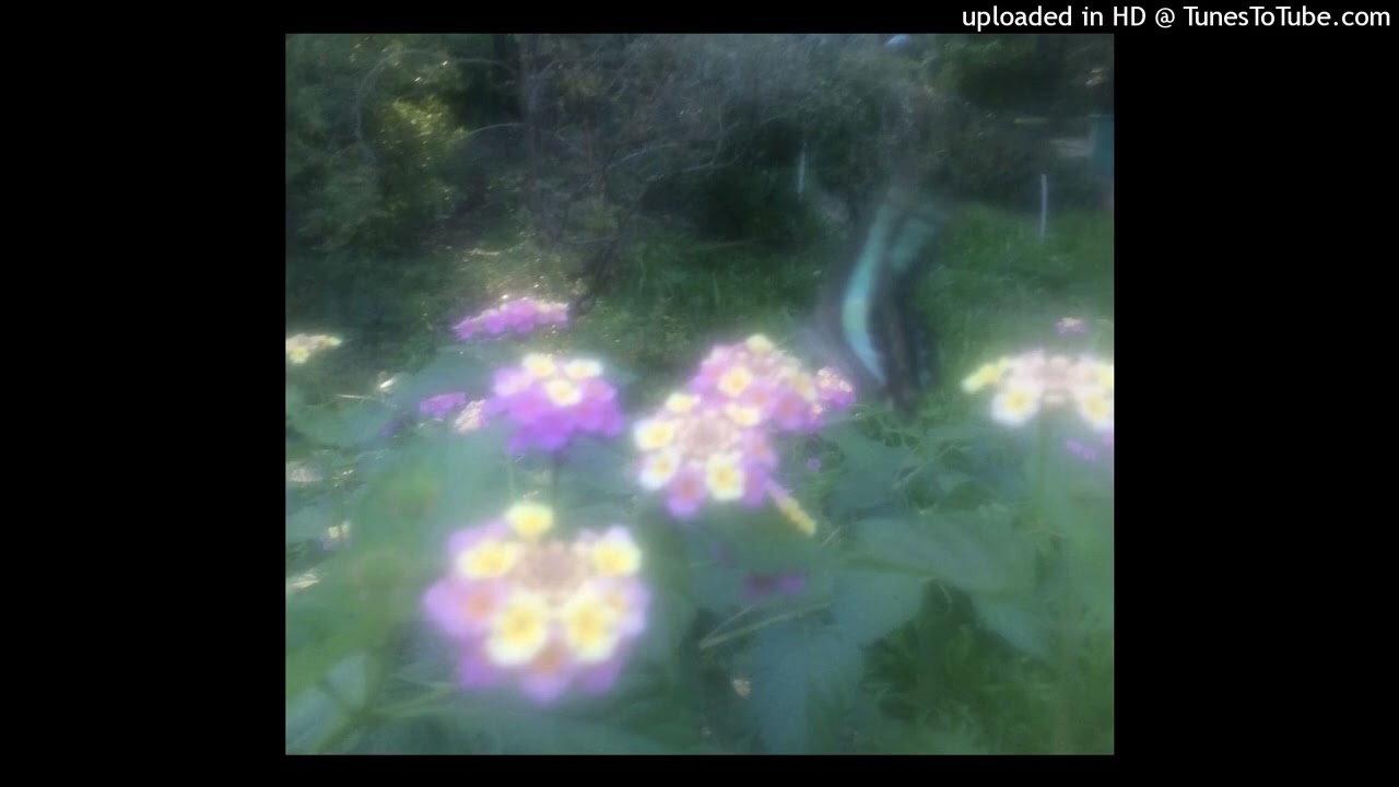 *free* lucy bedroque lucid740 type beat - have fun