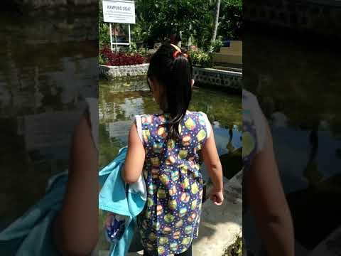 Liburan murah rasa mewah... Kampung SIDAT (SENI \u0026 ADAT) Banyuwangi