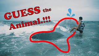 Clue Its Big. . . . . . And Also Black