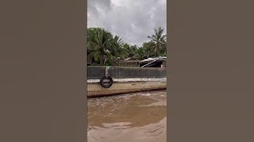 Ghe gỗ vượt Cống nước ngược.