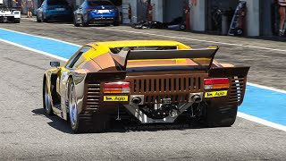 1979 De Tomaso Pantera Silhouette Gr. 5 racing at Circuit Paul Ricard!