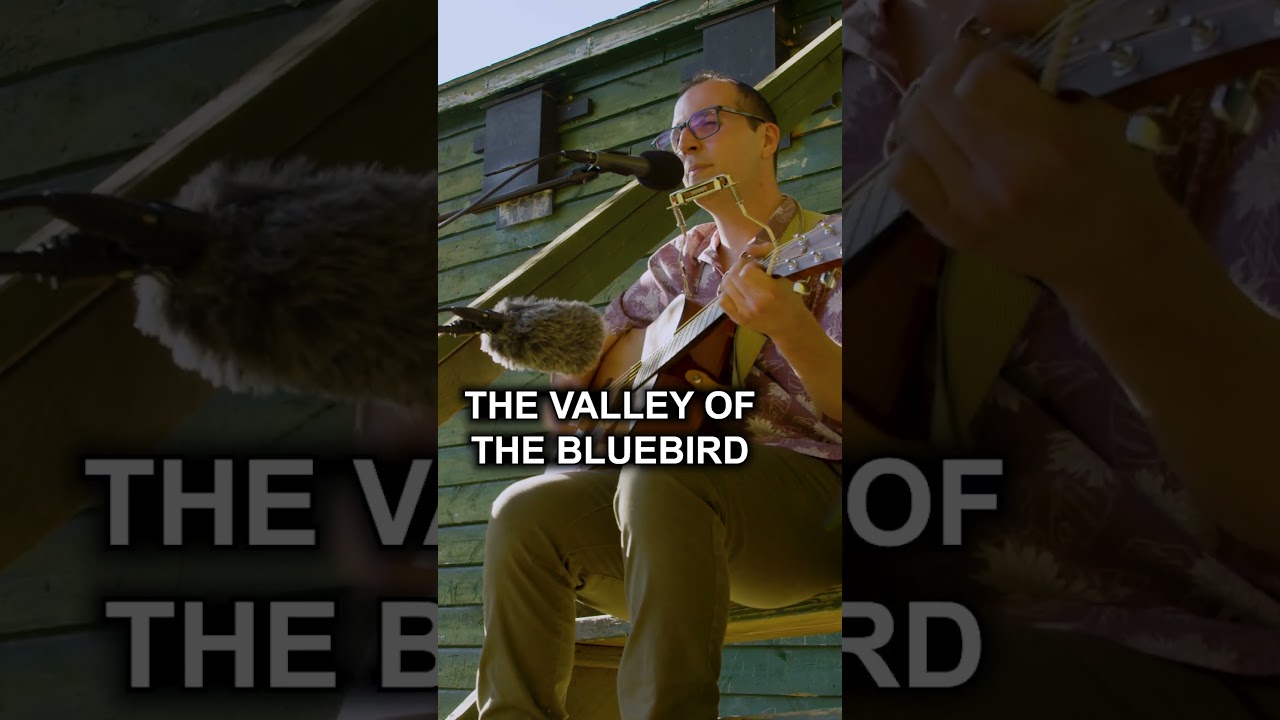 Valley of the Bluebird – Live Singer-Songwriter Session