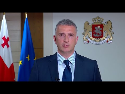 საქართველოს მთავრობა საკონსტიტუციო სასამართლოს მიმართავს