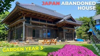 Journey through Seasons: Our Japanese Garden Transformation