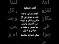 أغنية المنظمة مستر جزائري دوريتو