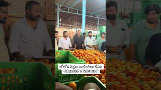 Angallu Tomato Market Prices Today #today #farming #telugutomato #angallu #agriculture