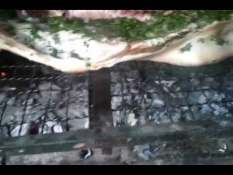 como asar un cochinillo en casa pasos basicos para hacer un buen lechon a la parrilla b como asar un cochinillo en casa pasos basicos para hacer un buen lechon a la parrilla b