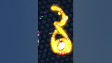 SLITHER.IO V.I.P MOD BY TOP X