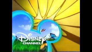Disney Channel Next Bumpers tpd To Tslozc And Timon  Pumbaa To Blosc 2005 And 2006