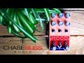 Chase Bliss Audio - MOOD (Granular Microlooper/Delay) [SofaJams]
