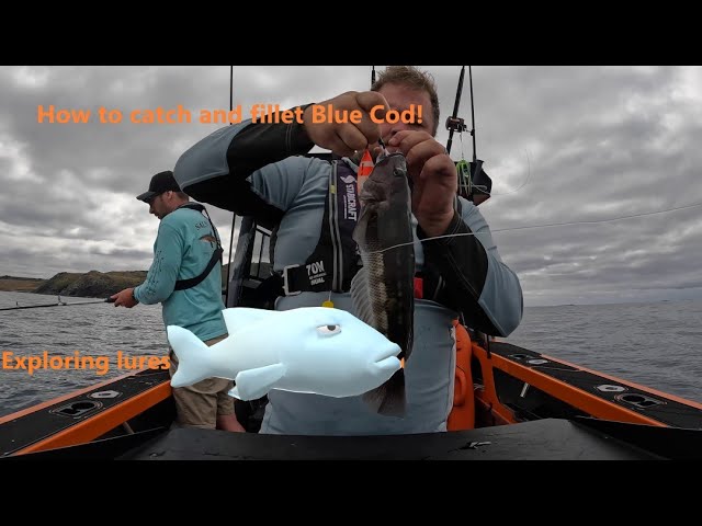 Saltwater Jigging For Blue Cod Off The Otago Coast 