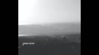 Sensible Soccers - Nikopol