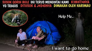 CAMPING HORROR: DIINTAI SOSOK QORIN BULE K0RB4N DITUSUK & J4S4DNYA DIMAKAN HARIMAU