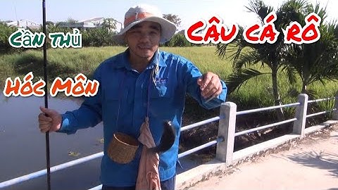 Câu Cá Rô Cùng Cần Thủ Hóc Môn (Tập 11)