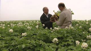 Chez nos agriculteurs