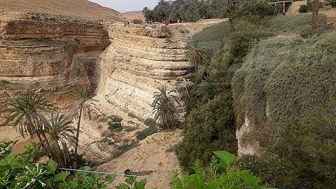 Tozeur : un paradis au cœur du désert