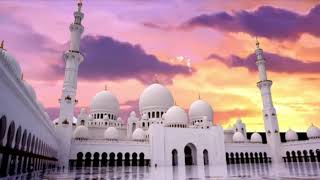 سورة الكوثر كاملة بدون اعلانات بصوت القارئ وديع اليمني