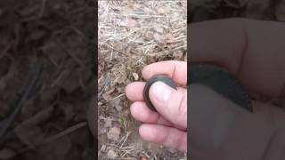 Монетный сигнал #garrett #metaldetecting #кладоискатель #коп #coin #клад #металлоискатель #мд #md
