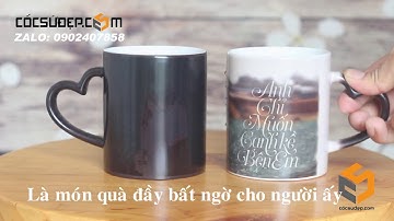[VINALY] Cốc đổi màu thần kỳ